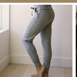 Albion Fit At Ease Jogger Small Gray Athleisure Quiet Luxury Comfy